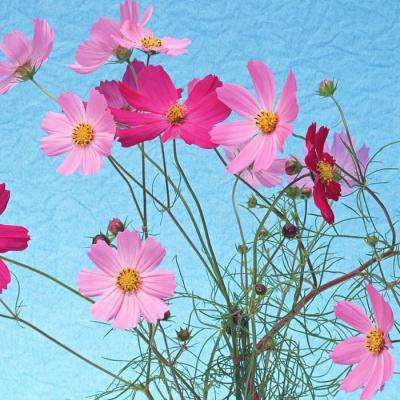 半岛bob综合登入app下载